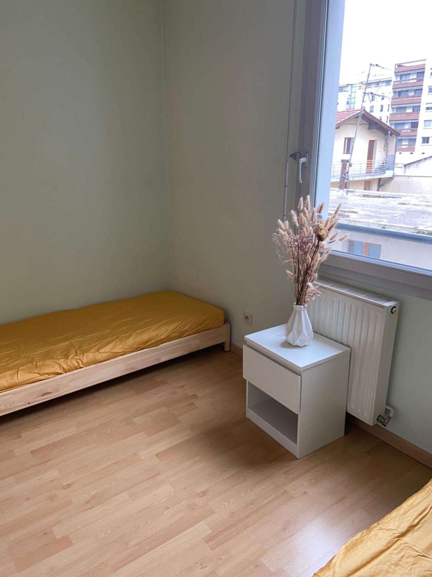 2Bhk Entire Apartment Fully Equipped 84M2 Lyon Extérieur photo
